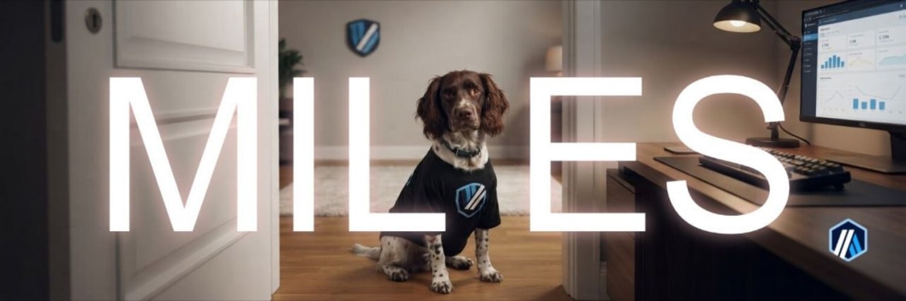 Miles, a liver and white English Springer Spaniel, sitting in a doorway wearing a black Arbitrum shirt, with his name lit up across the frame